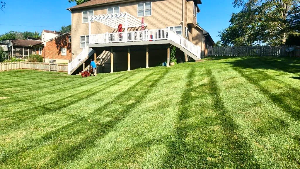 Lawn care equipment and crew work