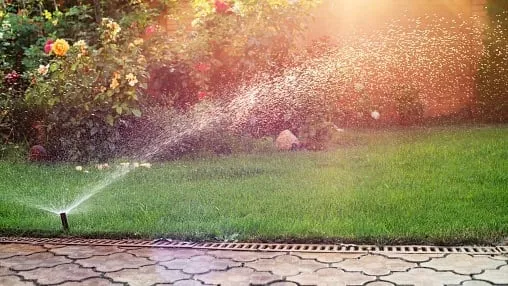 Summer in St. Louis – Caring for your lawn