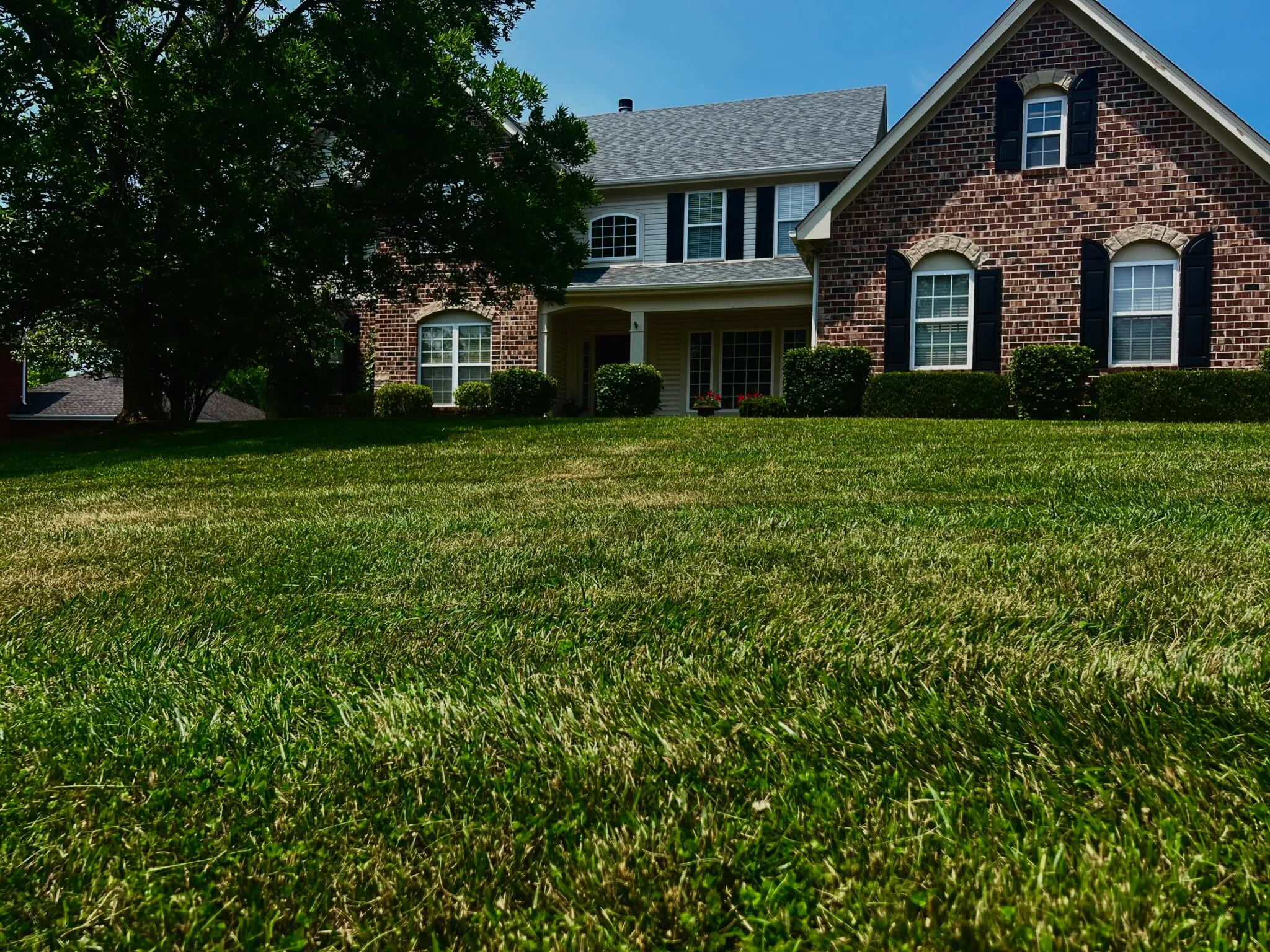Residential lawn after routine maintenance