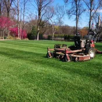 Lawn Mowing