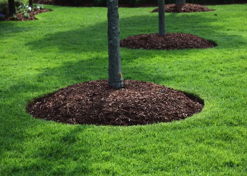 Mulch