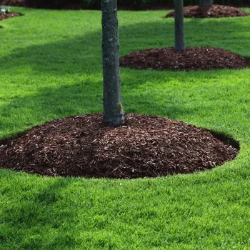 Mulch